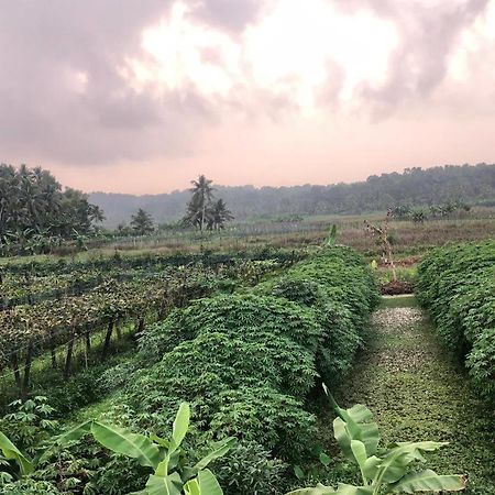 Villa Anandha Thiruvananthapuram ภายนอก รูปภาพ
